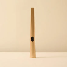 Load image into Gallery viewer, FLINT Electric Lighter
