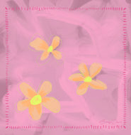Silk Scarf - ‘Luwuka Blossoms’ 65 x 65 cm